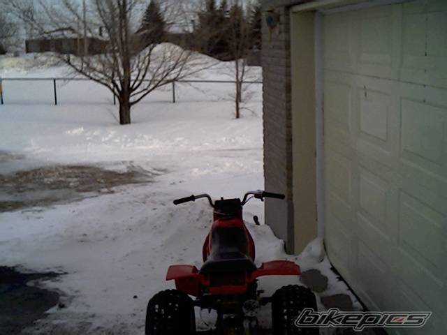 Photo 223312