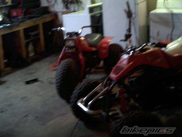 Photo 223314