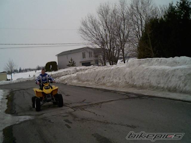 Photo 223317
