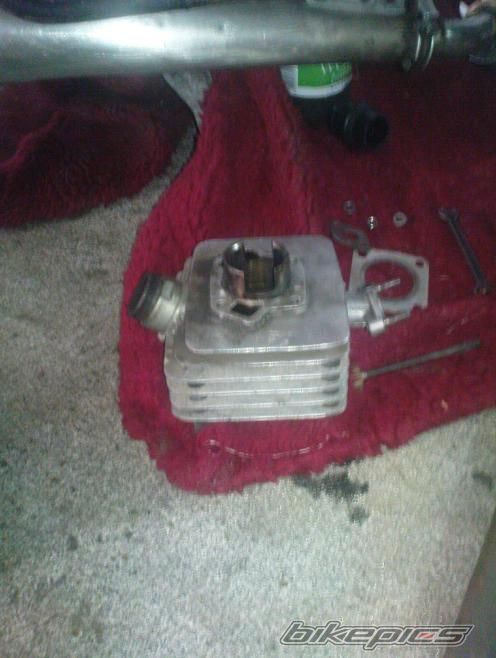 Photo 2233208
