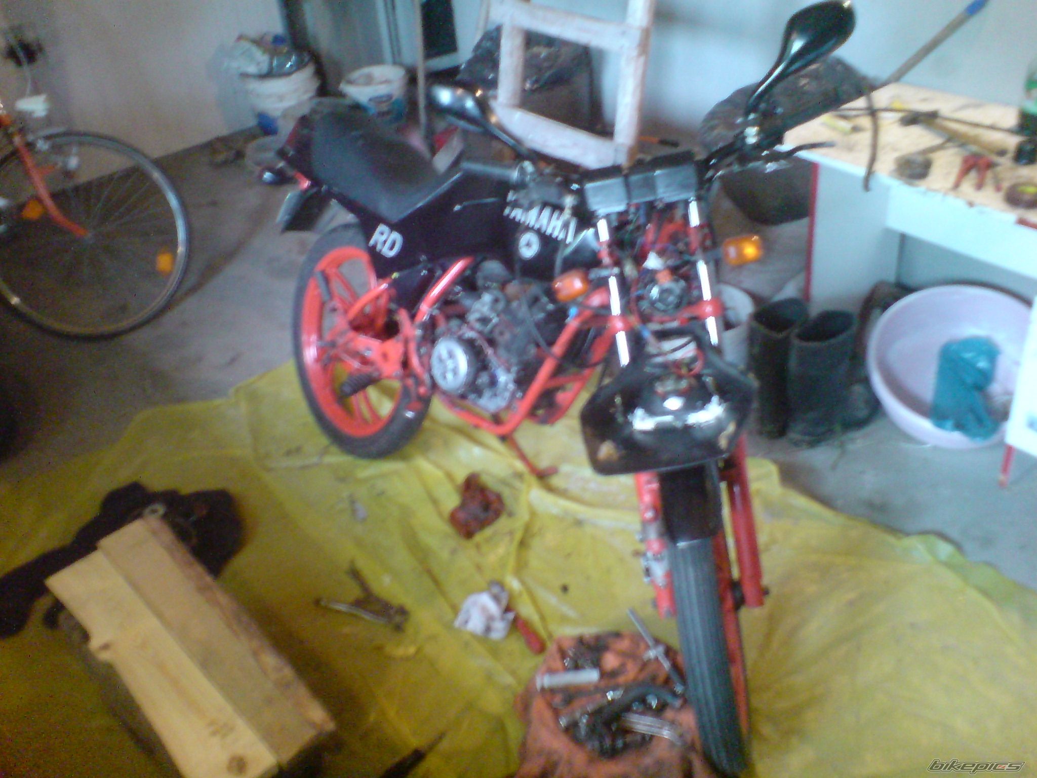 Photo 2233294