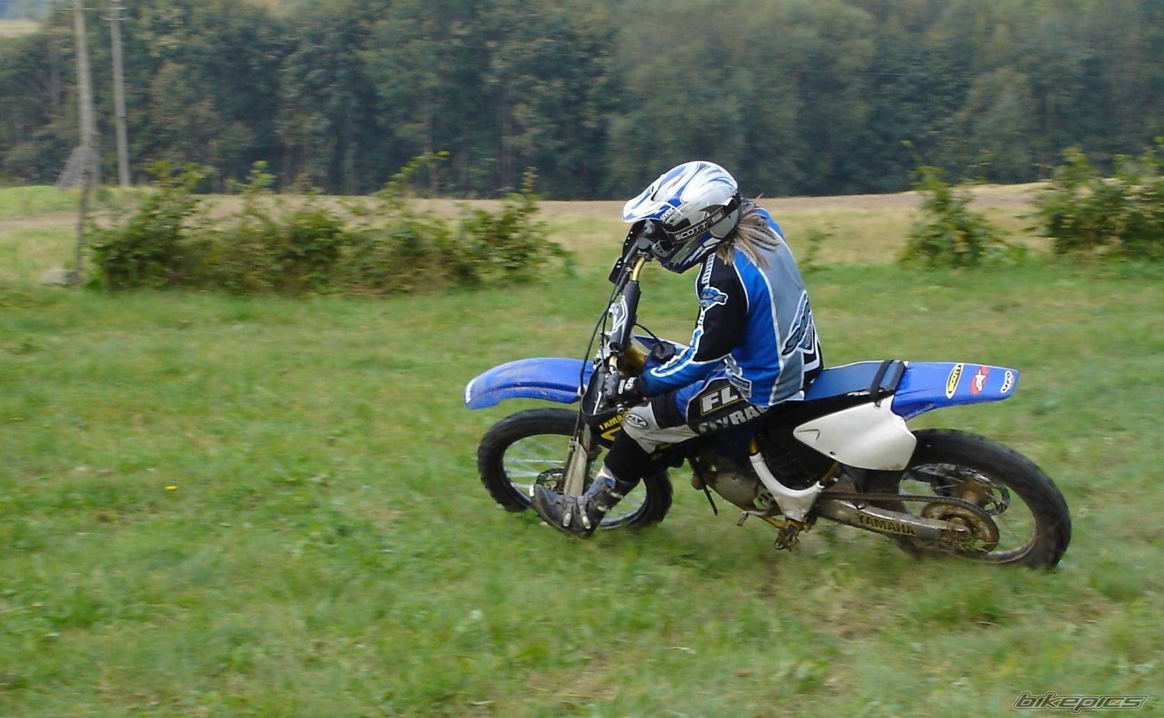 Photo 223335
