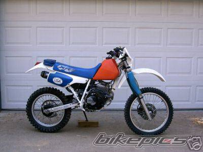 Photo 223340