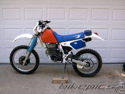 Photo 223341