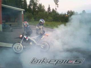 Photo 223362