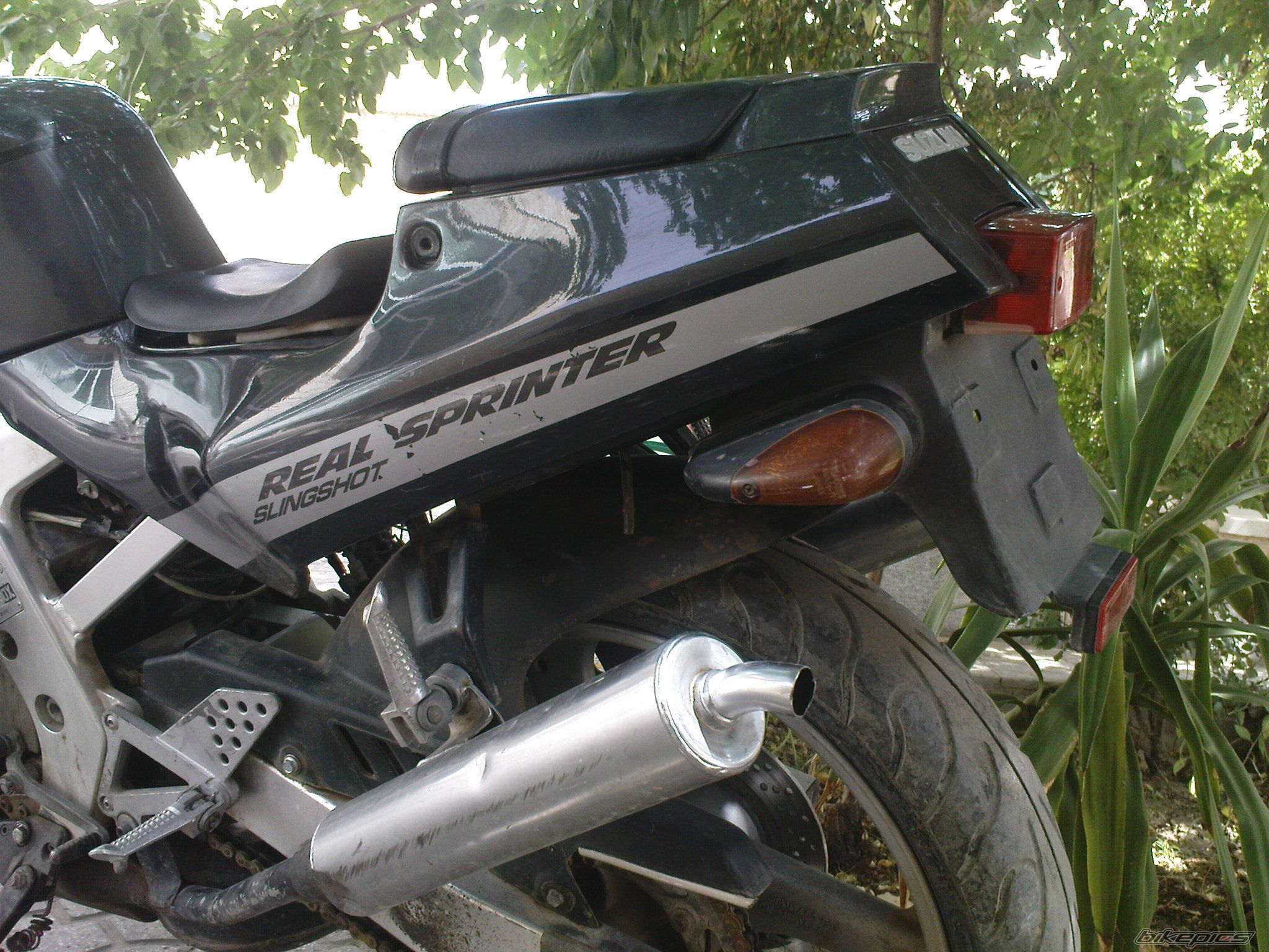Photo 2233816
