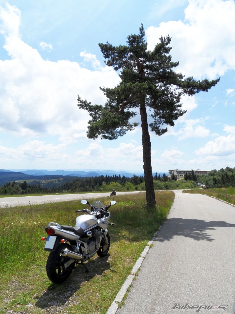 Photo 2233856