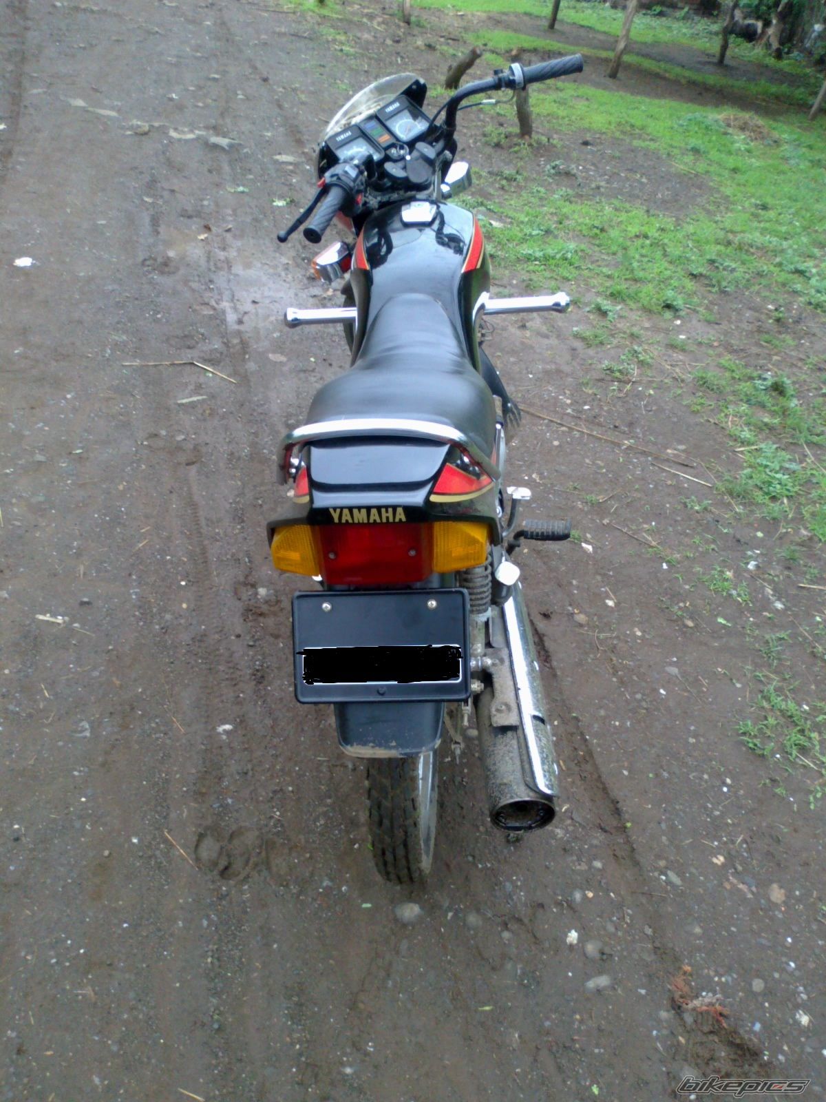 Photo 2233881