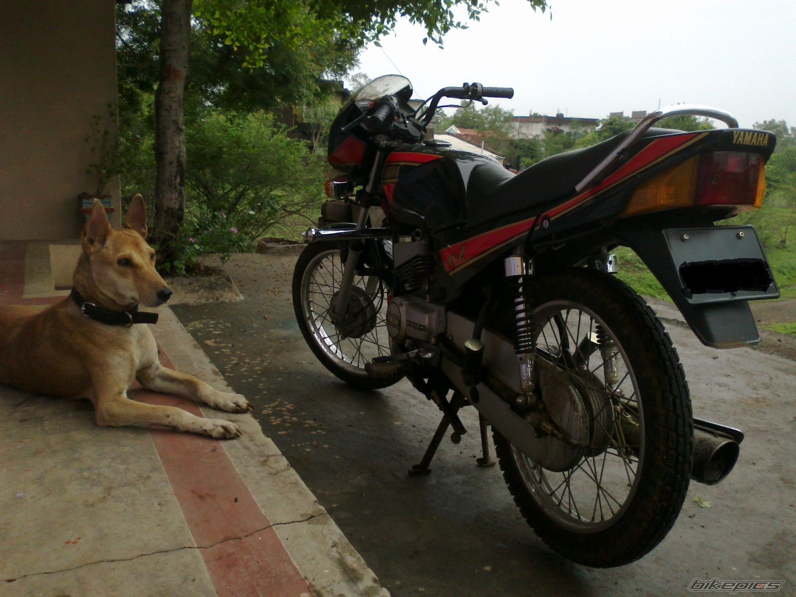 Photo 2233886