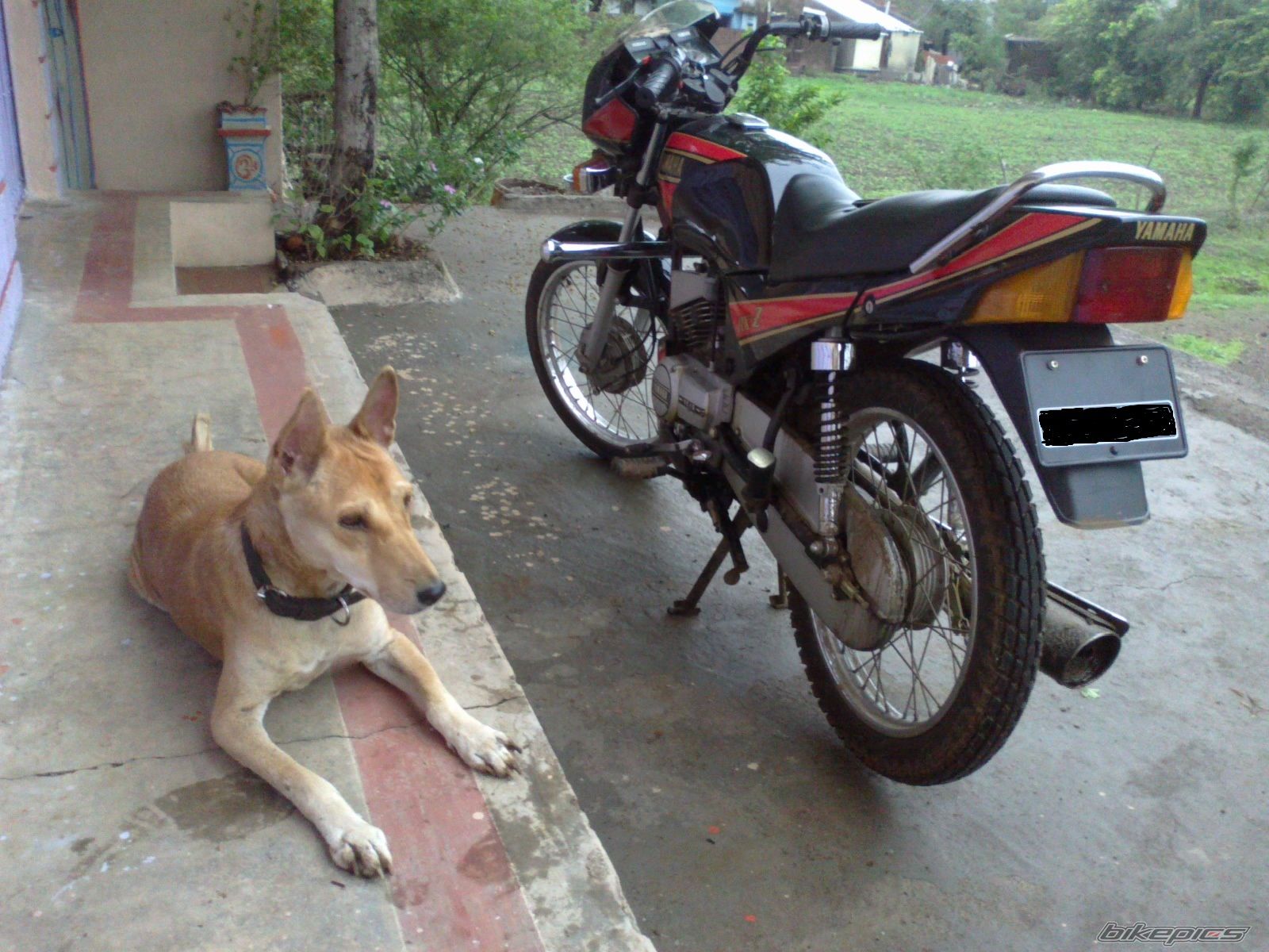 Photo 2233888