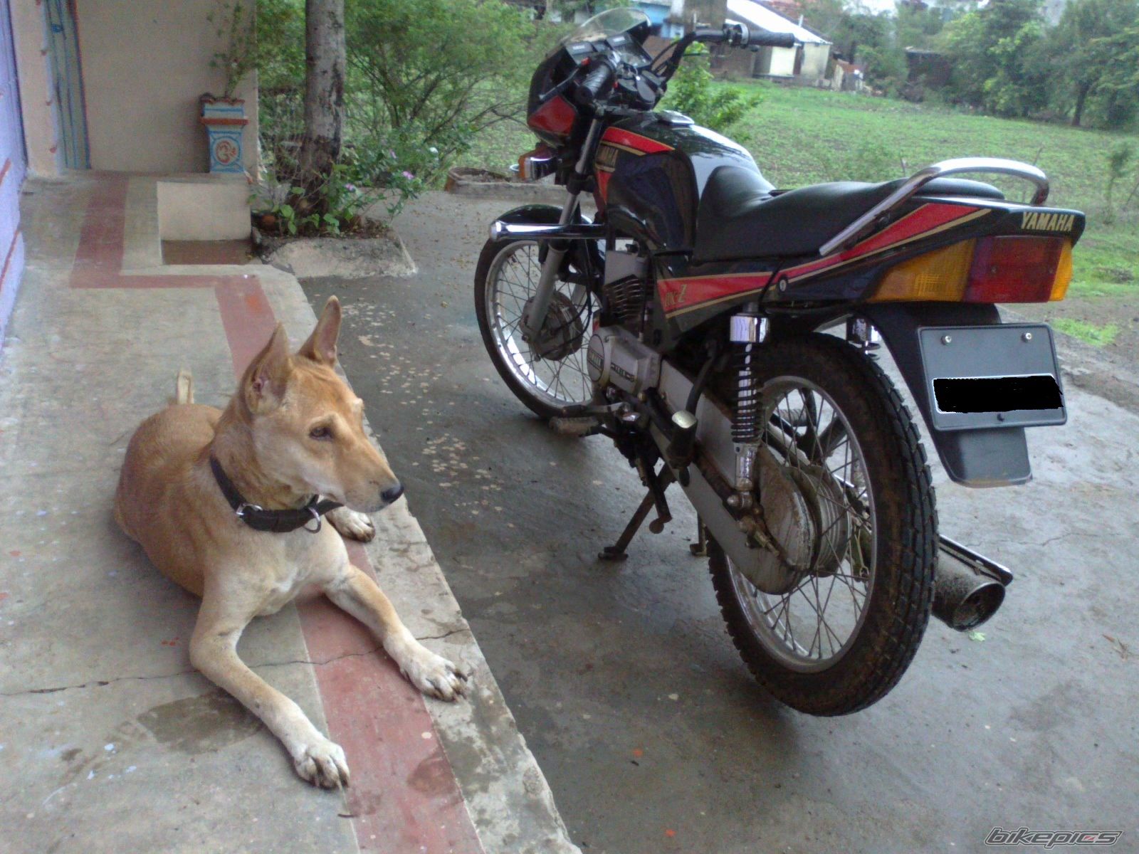 Photo 2233889