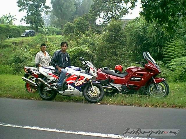 Photo 22341