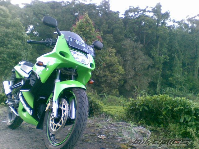 Photo 2234249