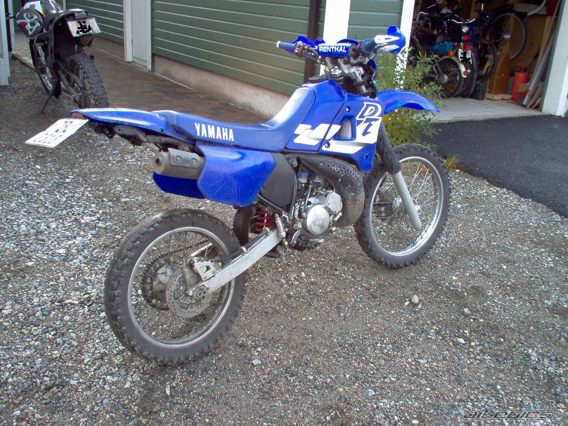 Photo 223450