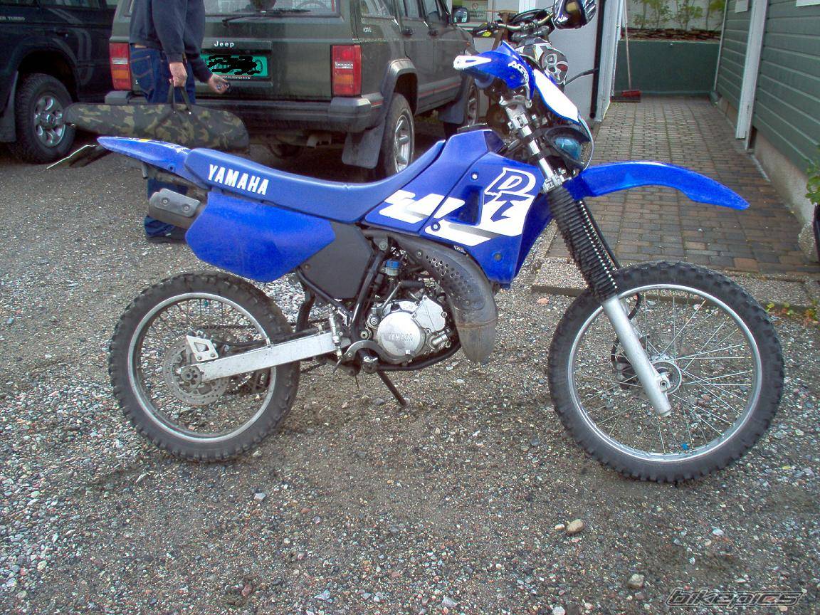 Photo 223451
