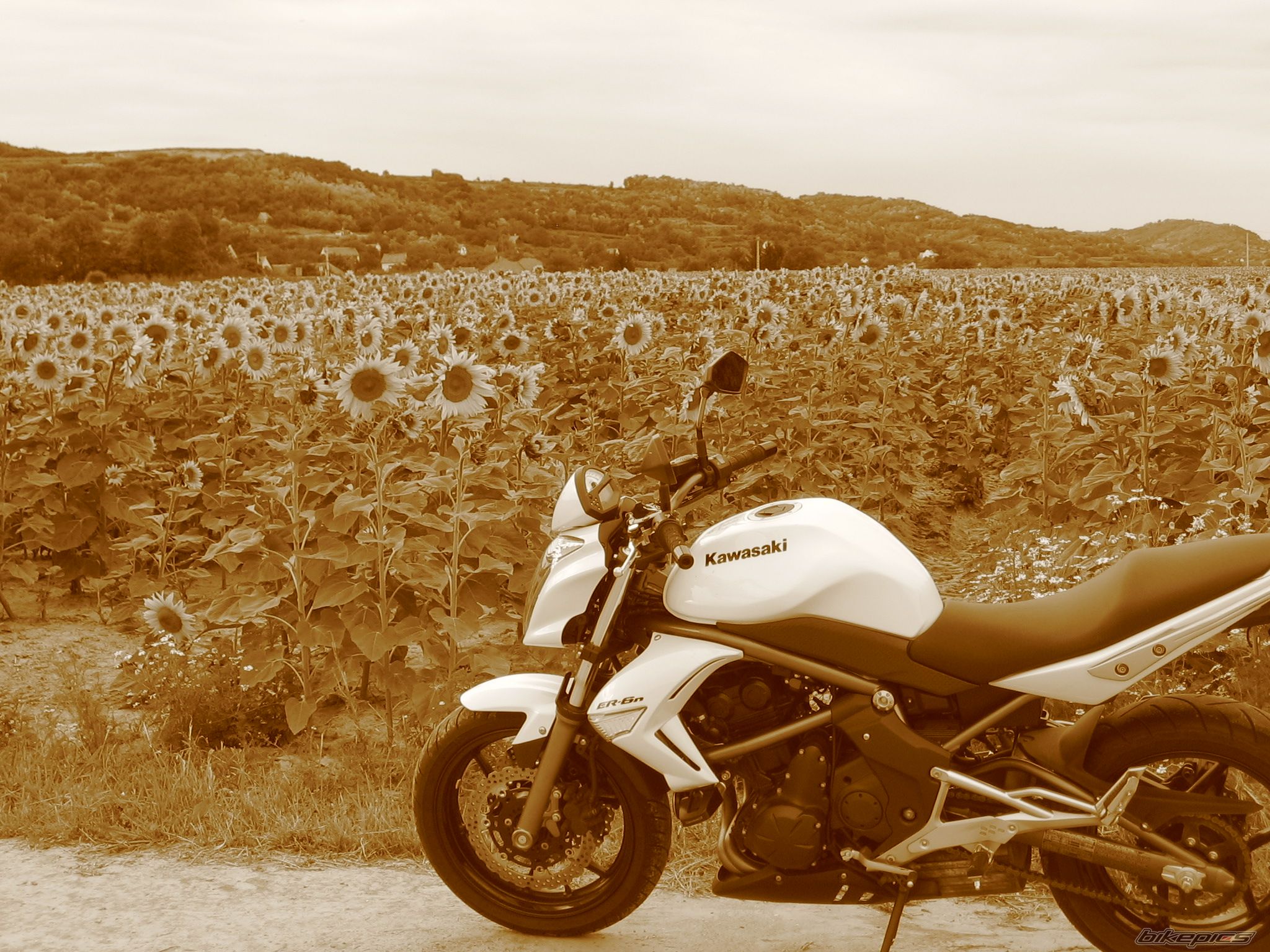 Photo 2234629