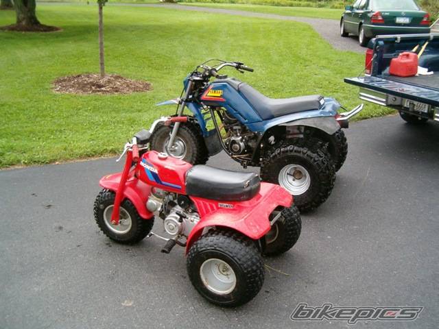 Bike Photo 223478