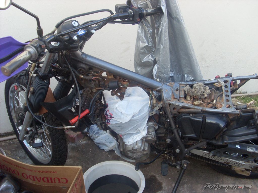 Photo 2235072