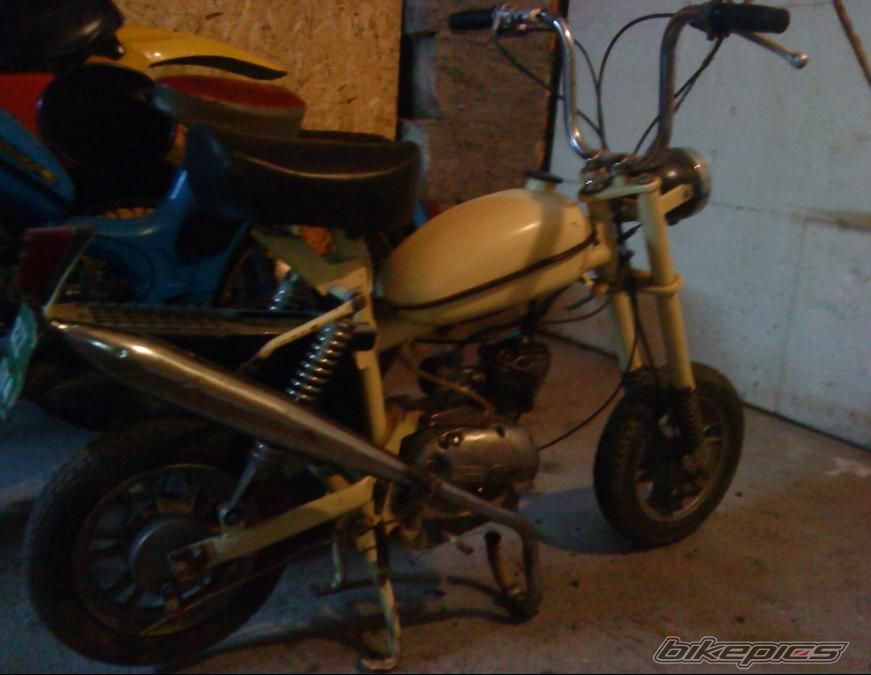 Photo 2235147