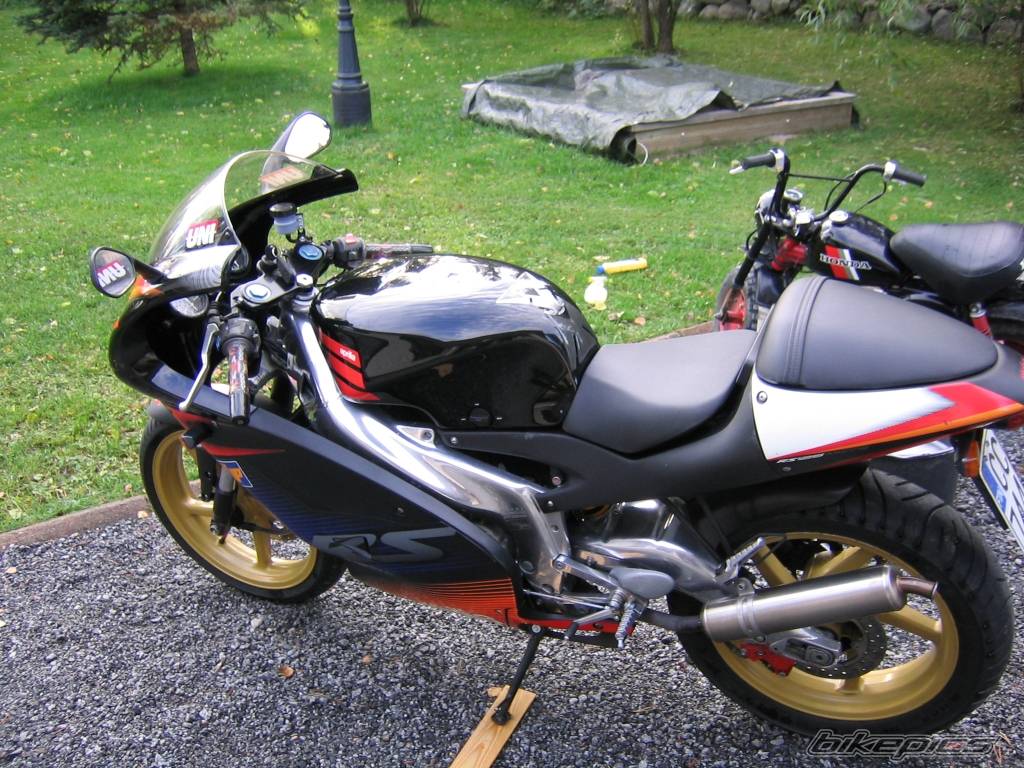 Photo 223527