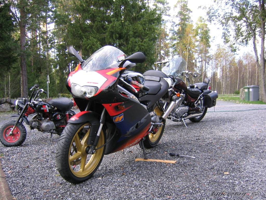 Photo 223528