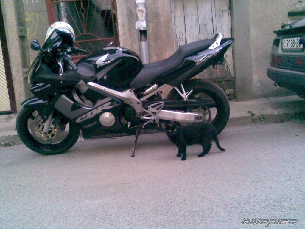 Bike Photo 2235369