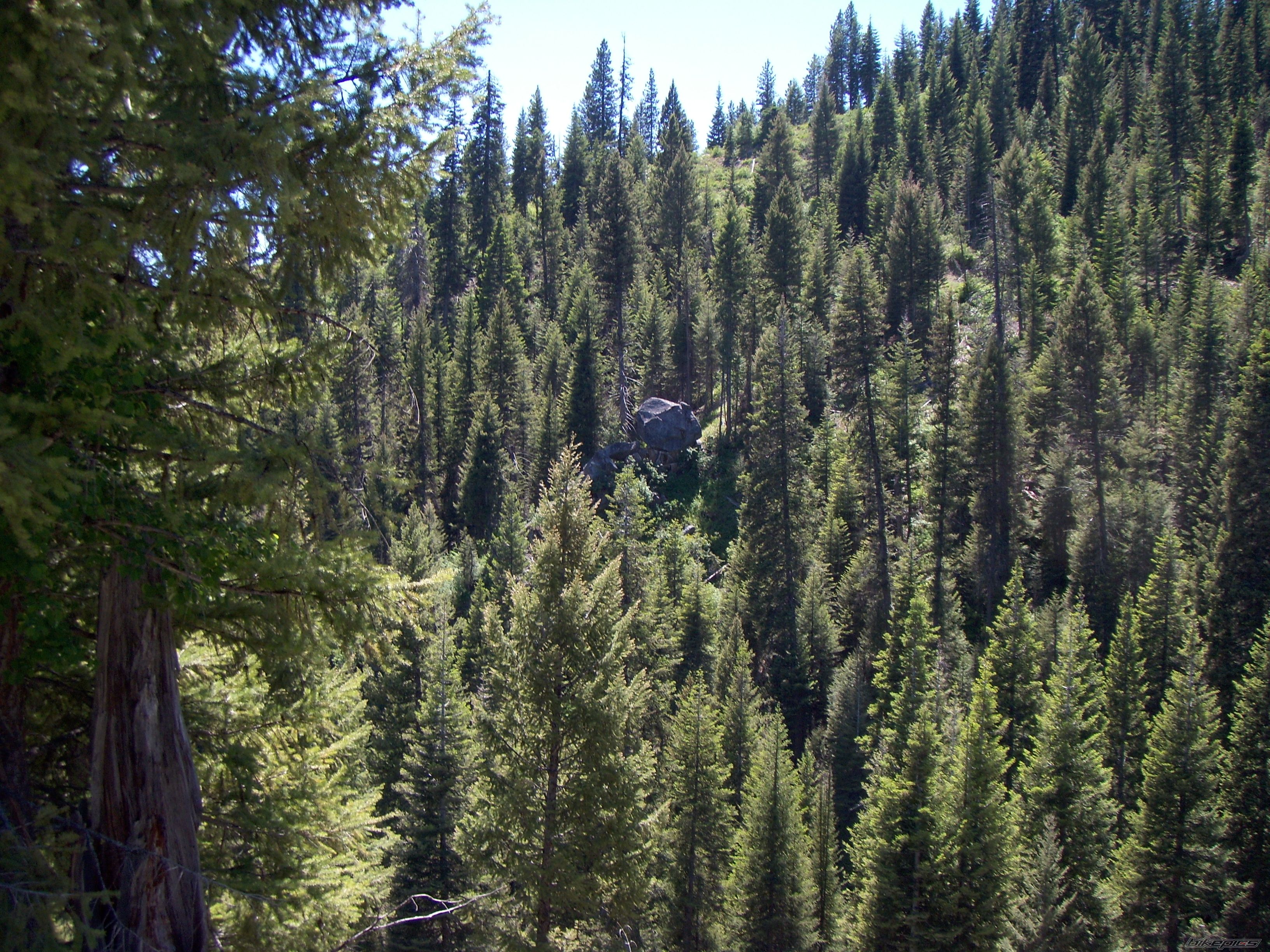 Photo 2235621