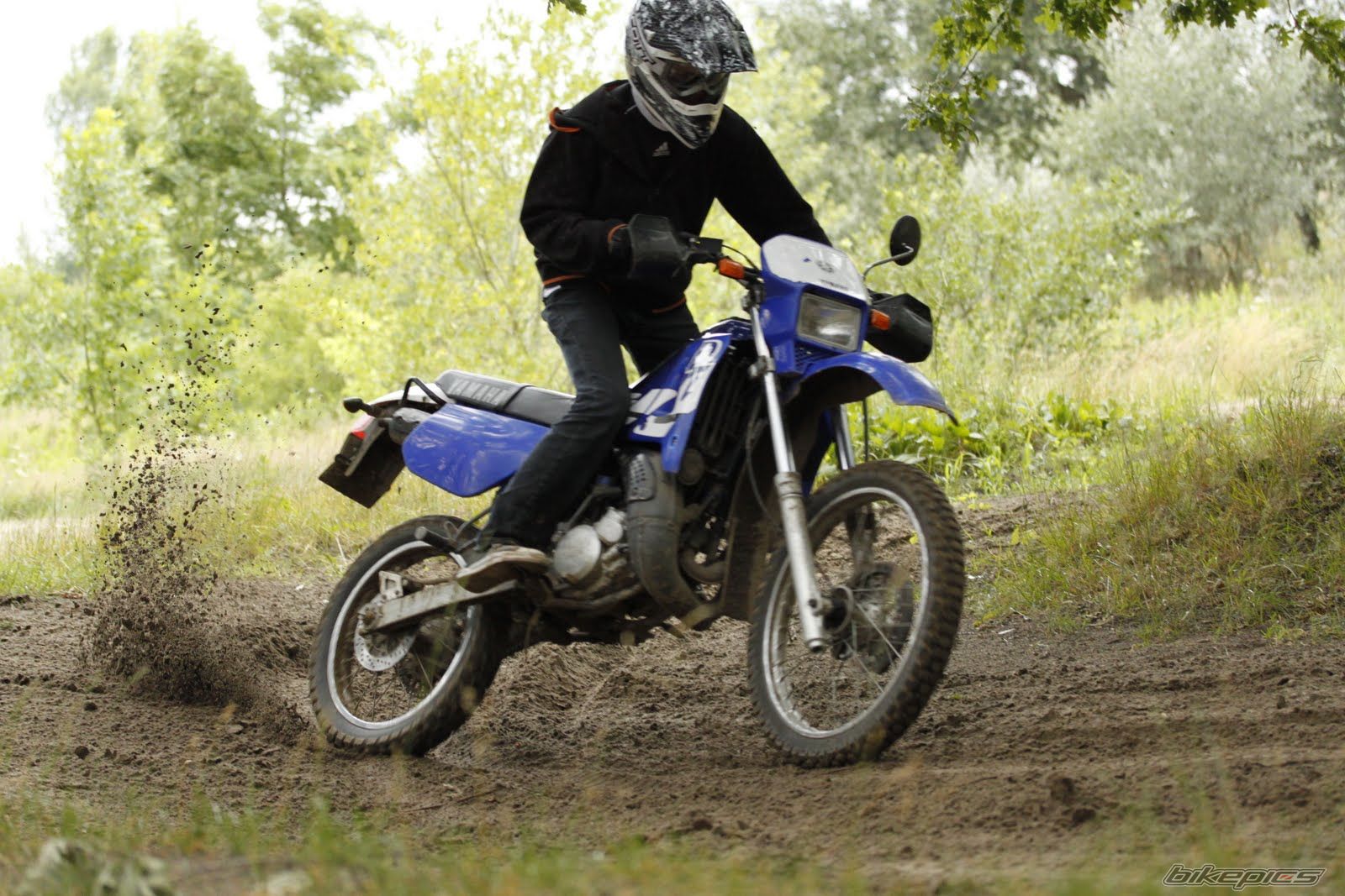 Photo 2235714