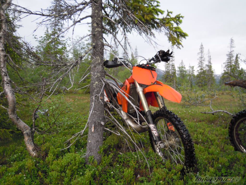 Bike Photo 2235719