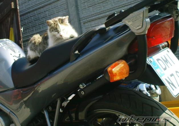 Photo 2235822