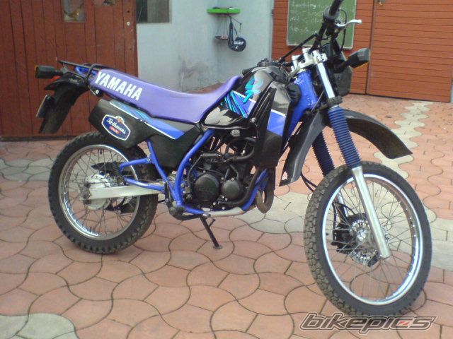 Photo 2235880
