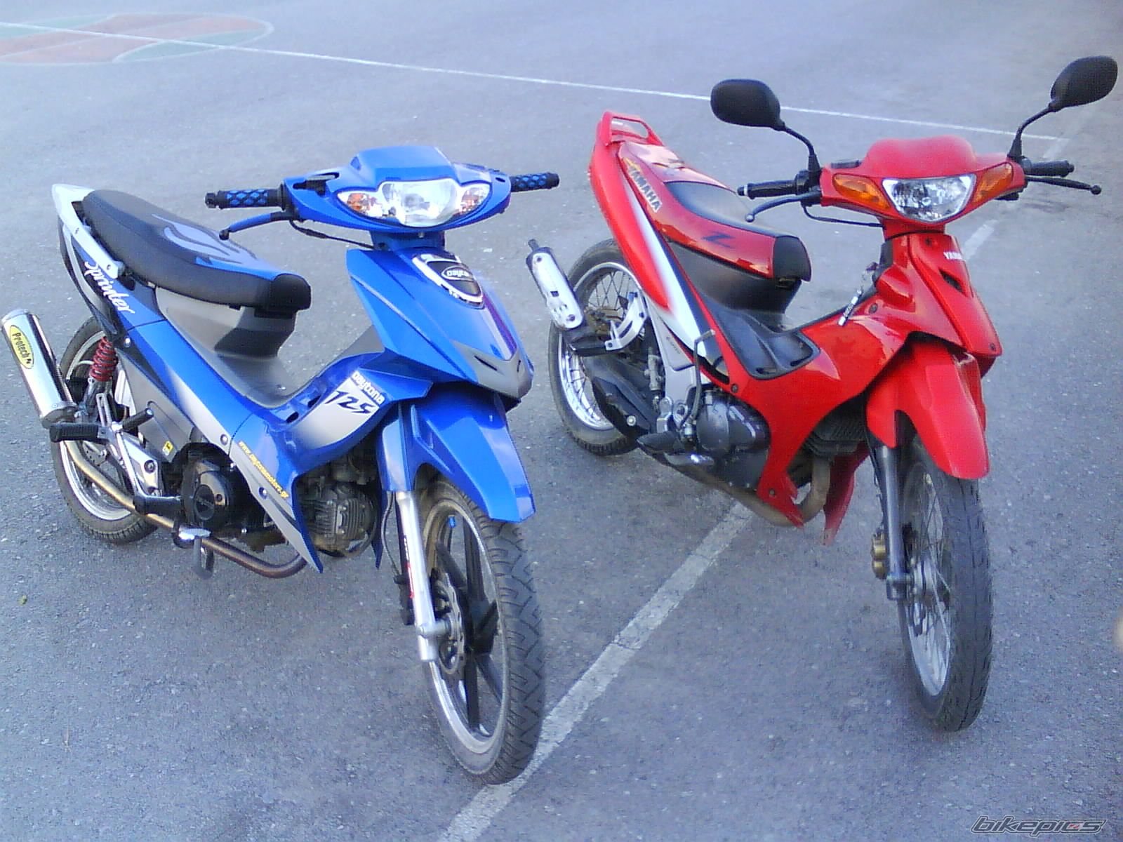 Photo 2235904