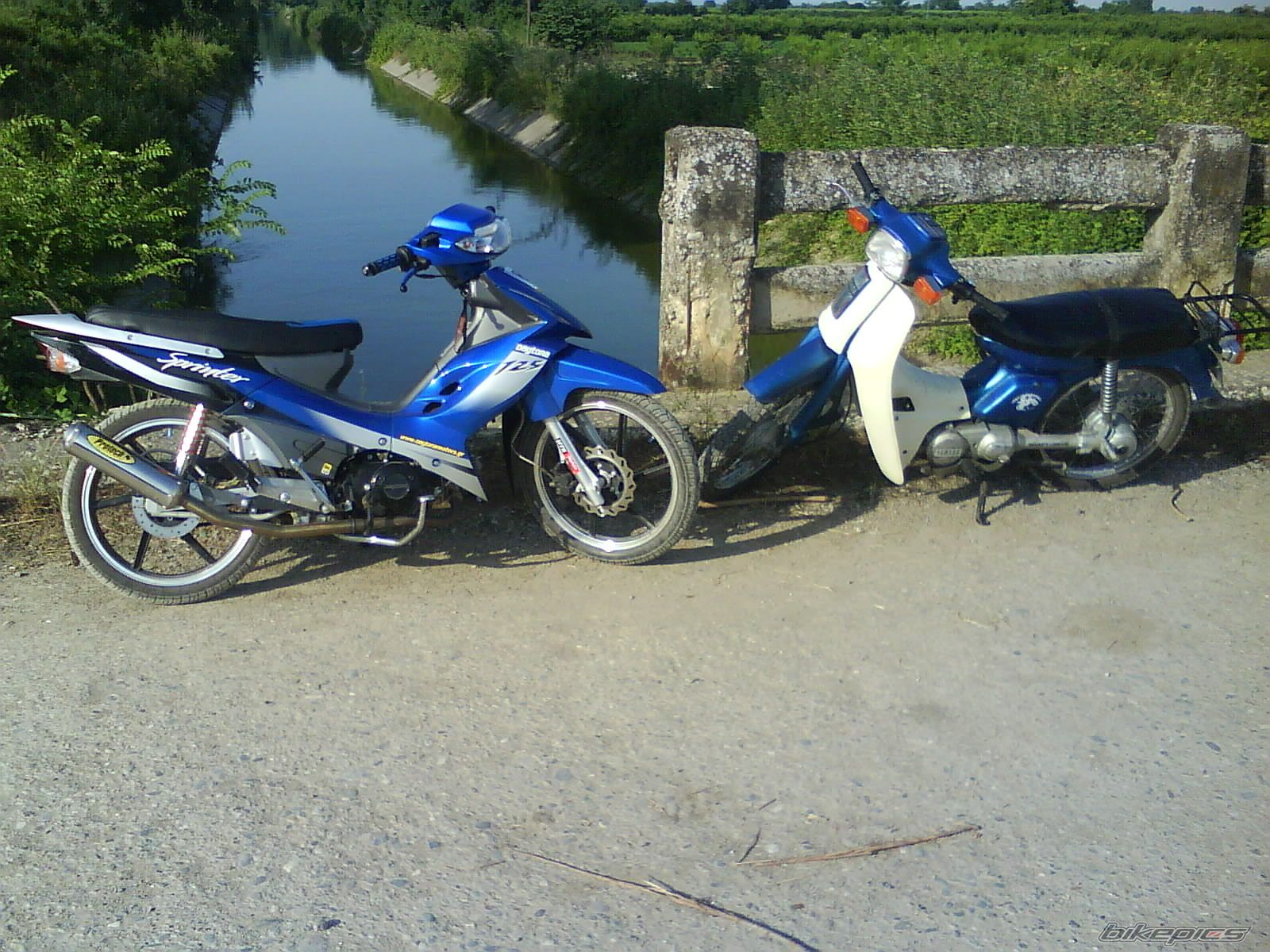 Photo 2235912