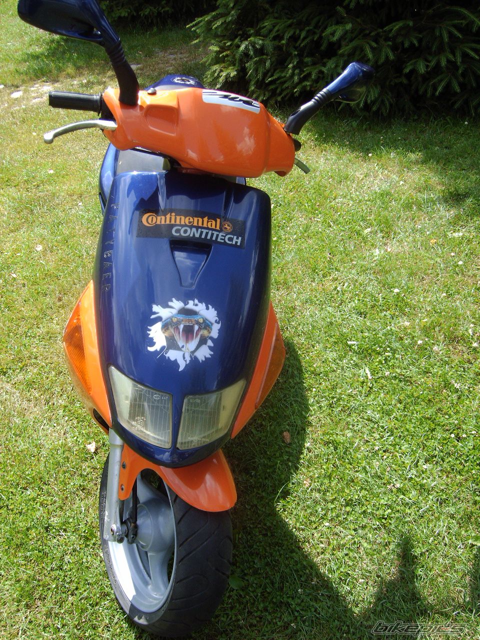 Photo 2235938