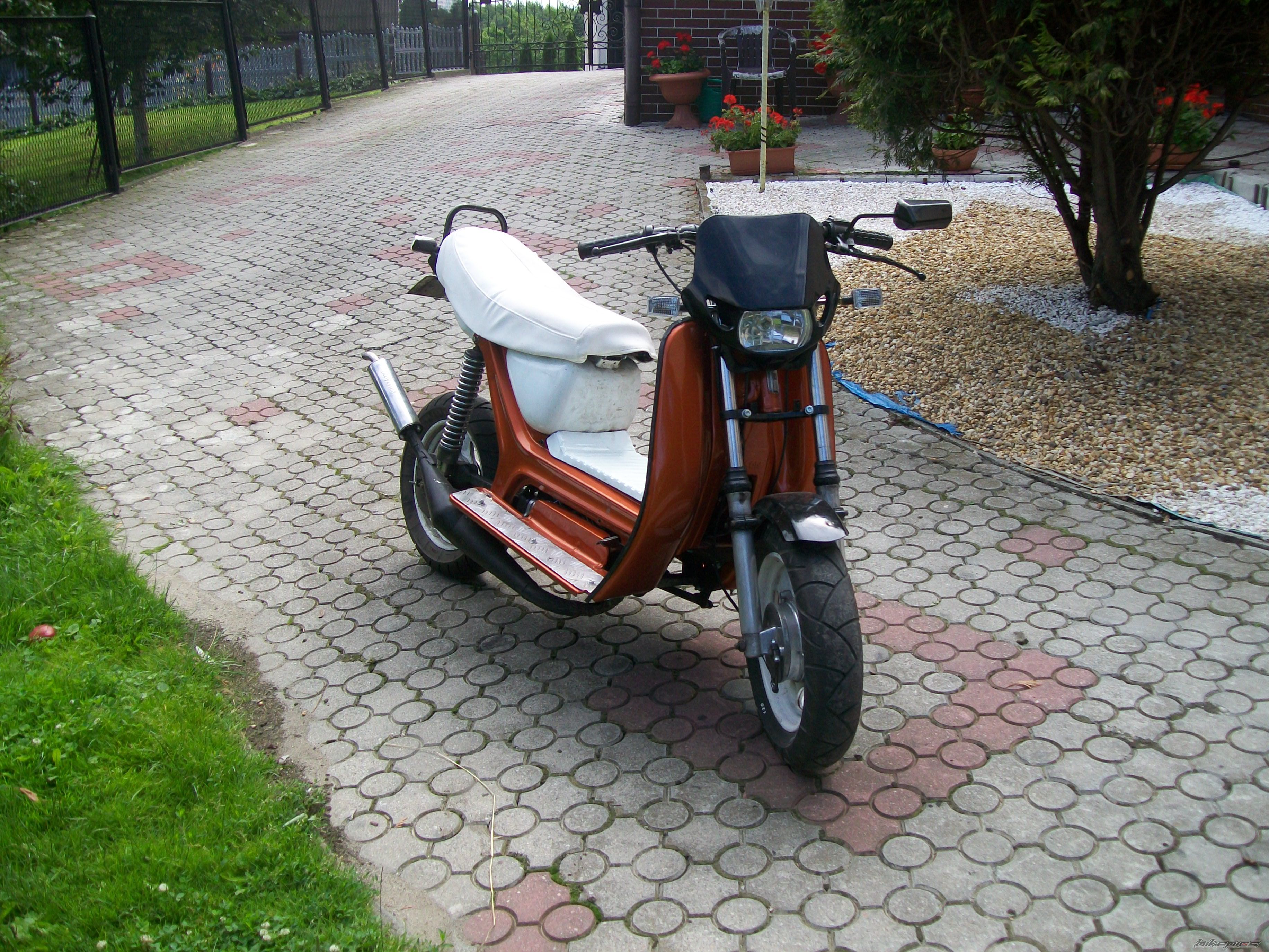 Photo 2235993
