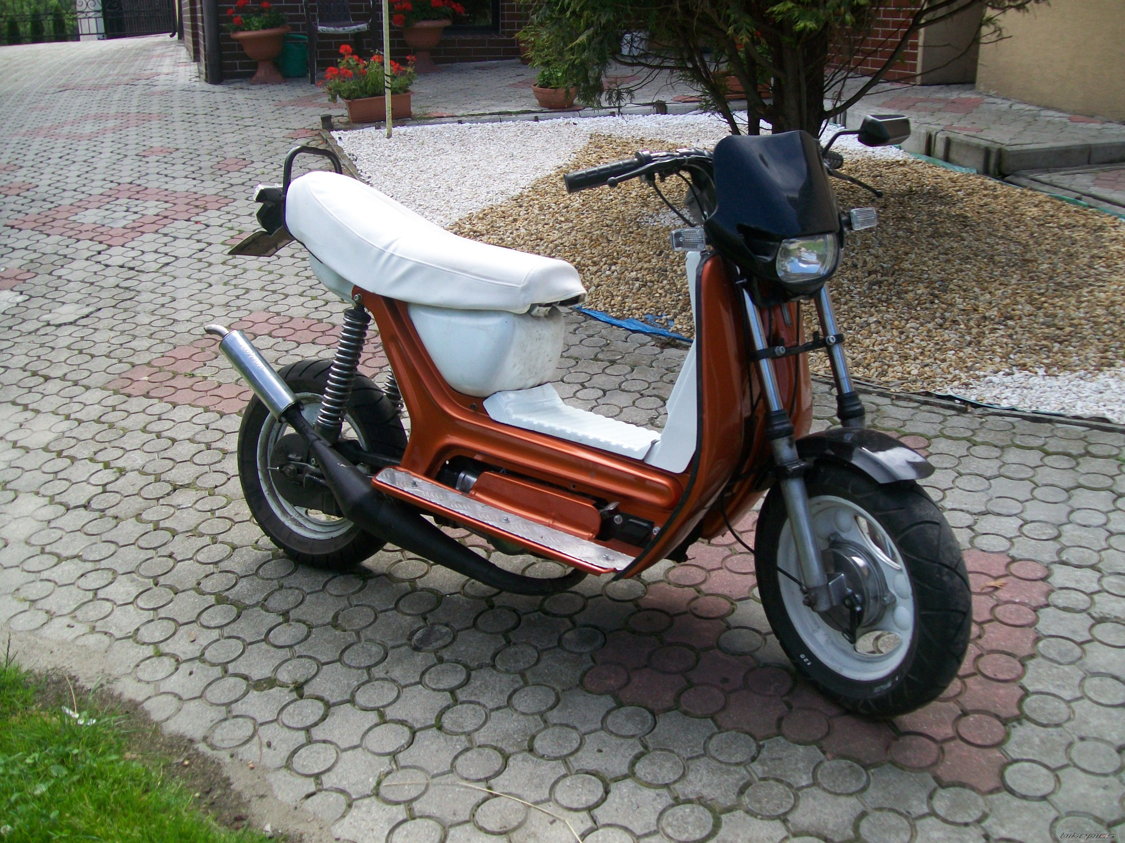 Photo 2235999