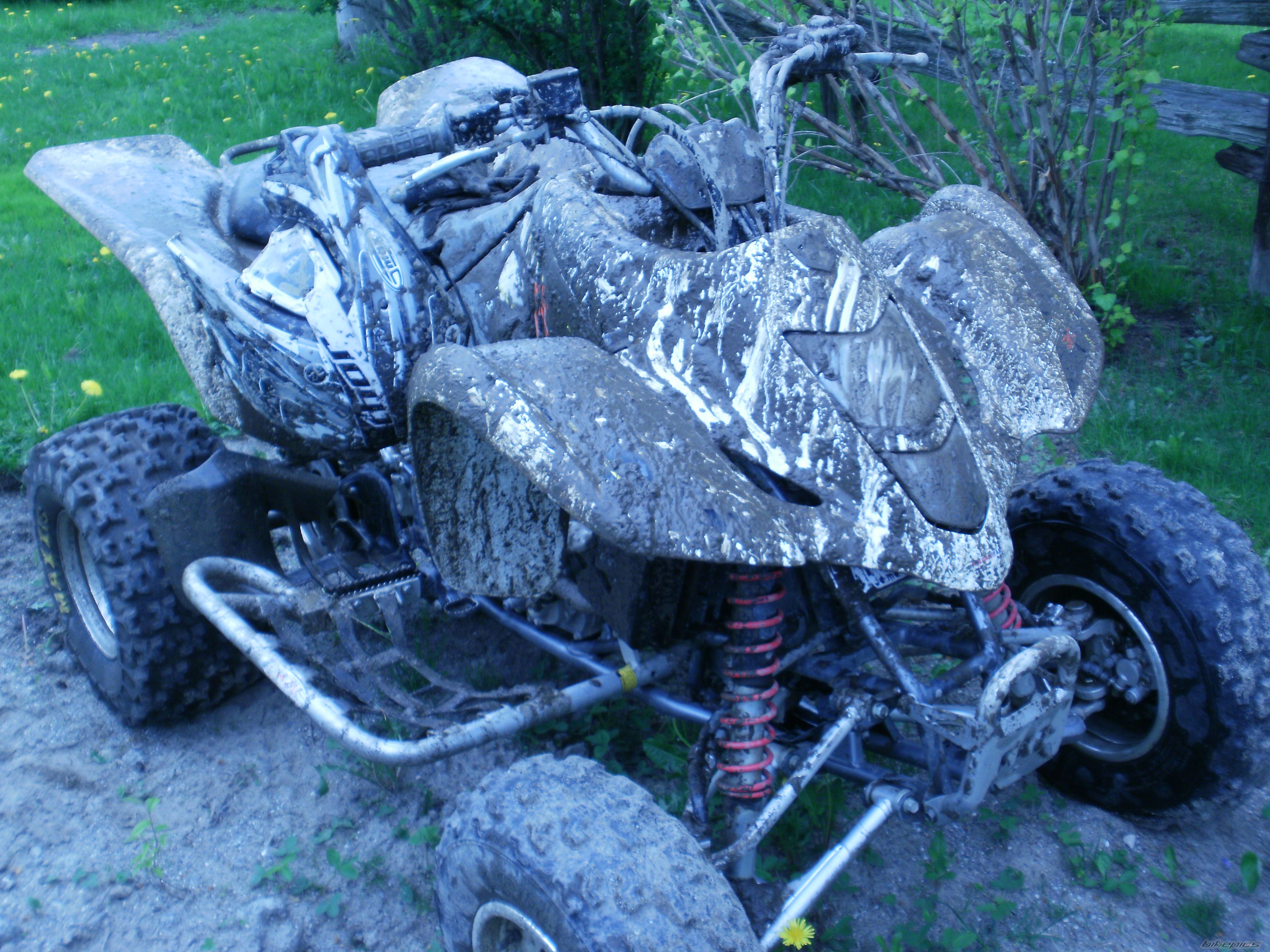 Photo 2236113