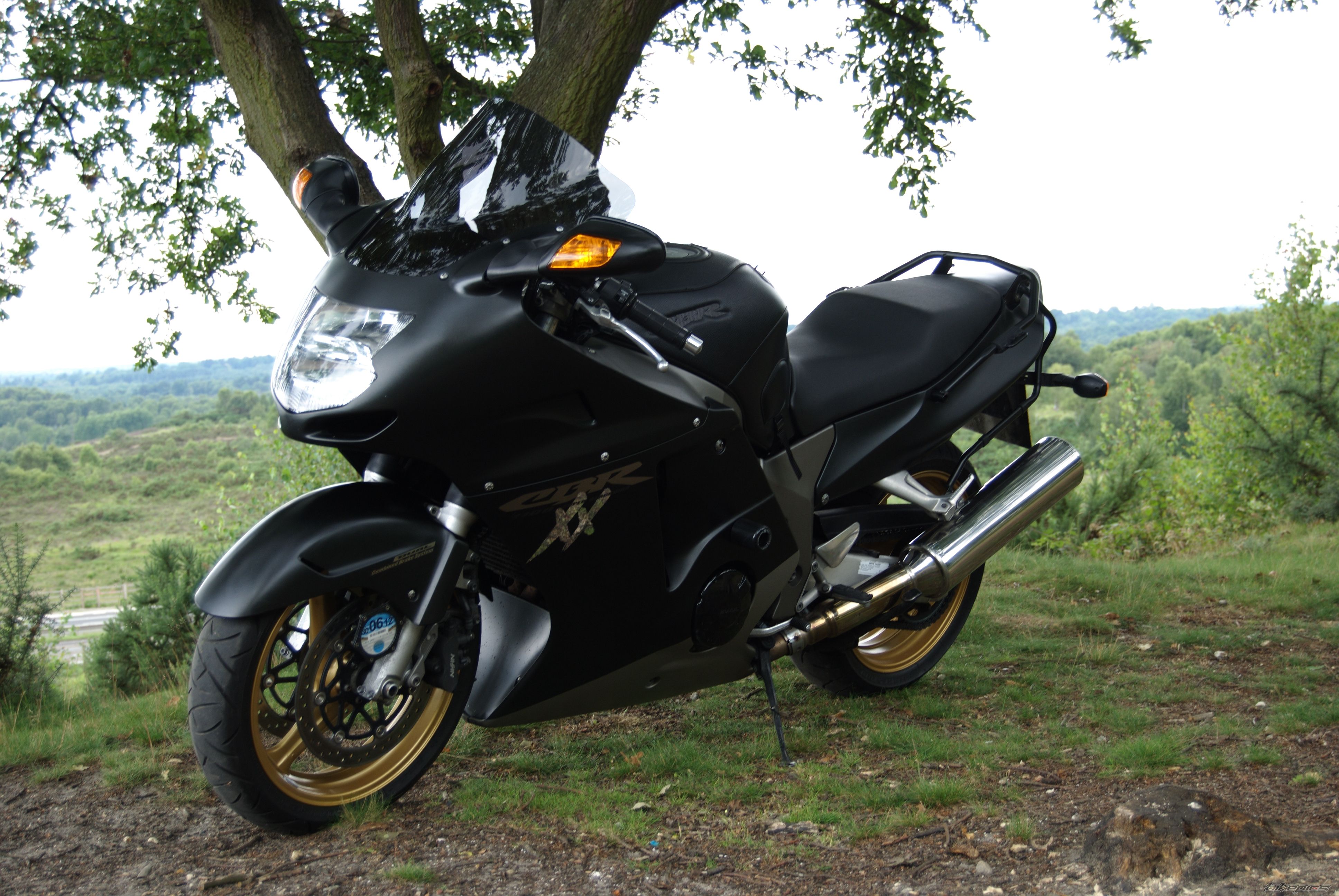 Photo 2236284