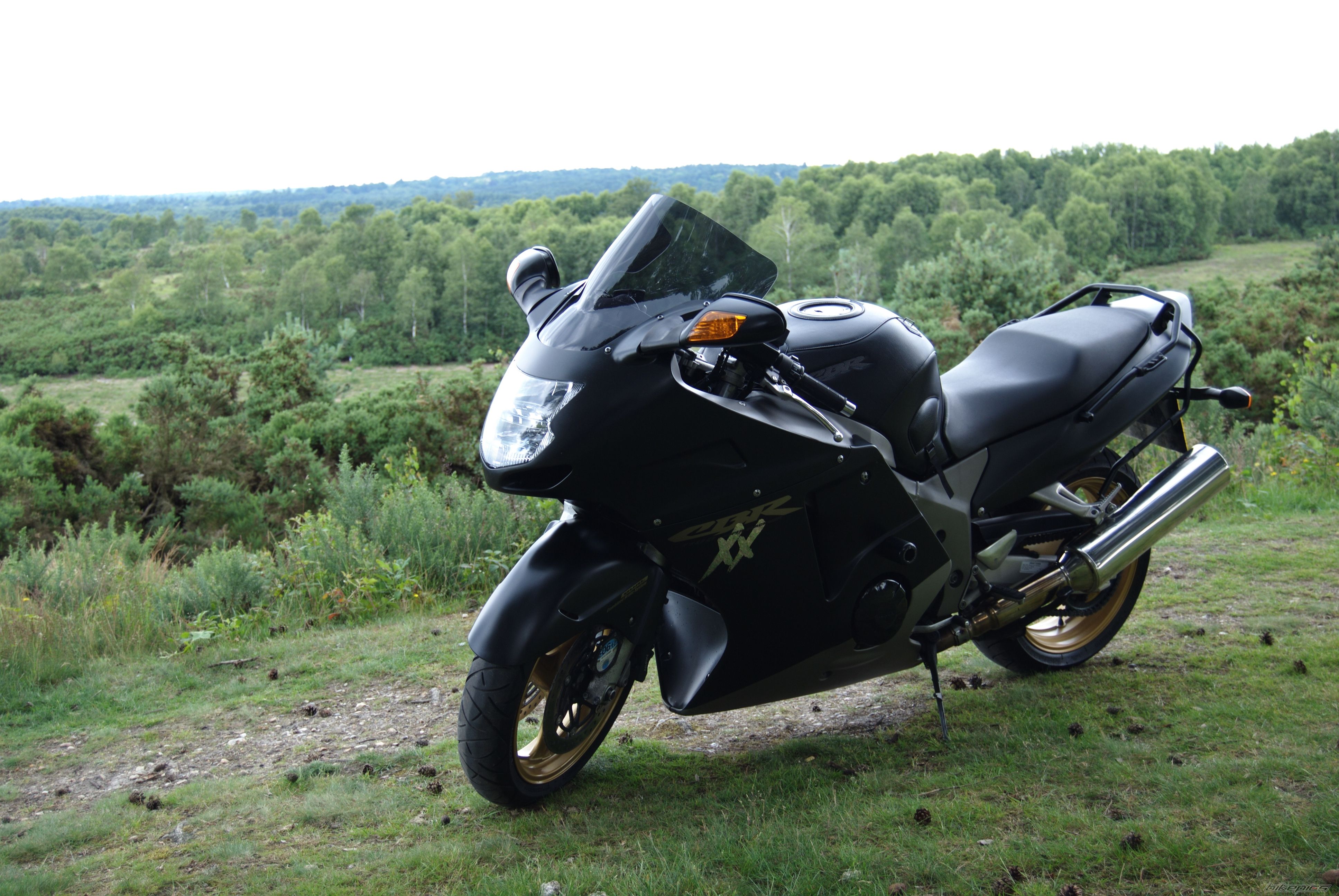 Photo 2236293