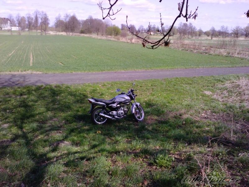 Bike Photo 2236439