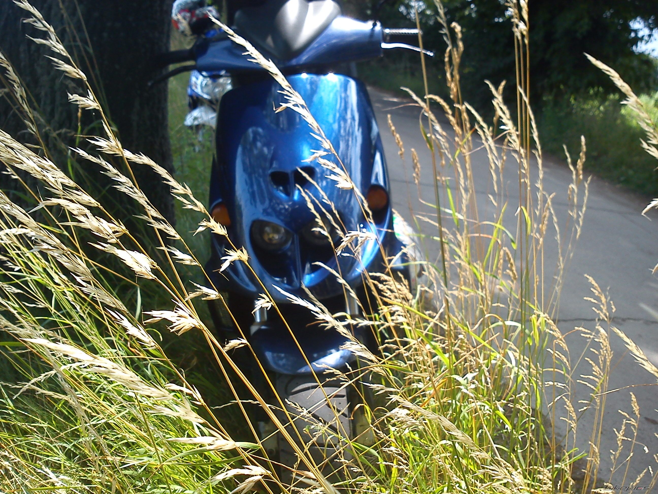 Bike Photo 2236618