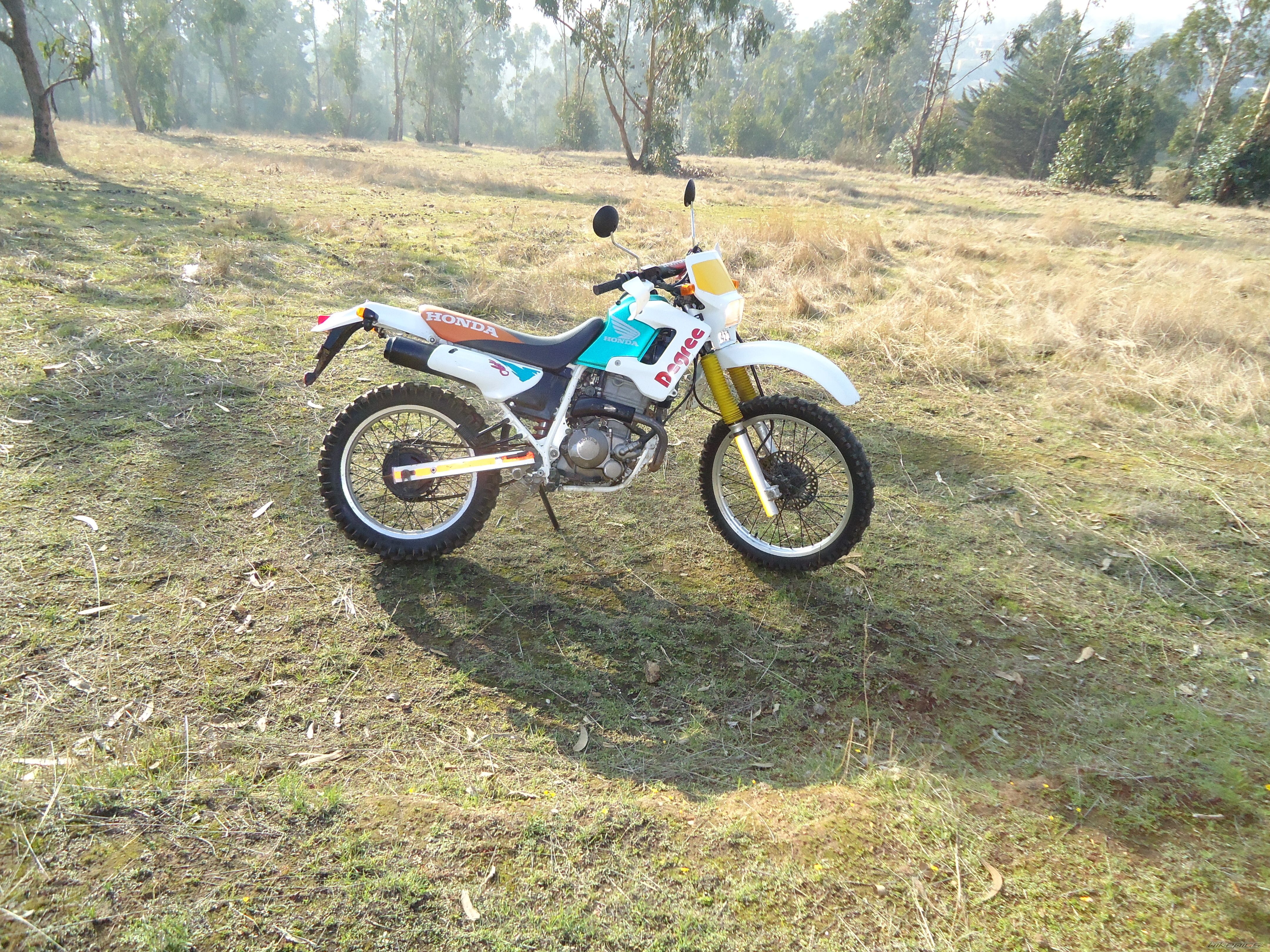 Photo 2236720