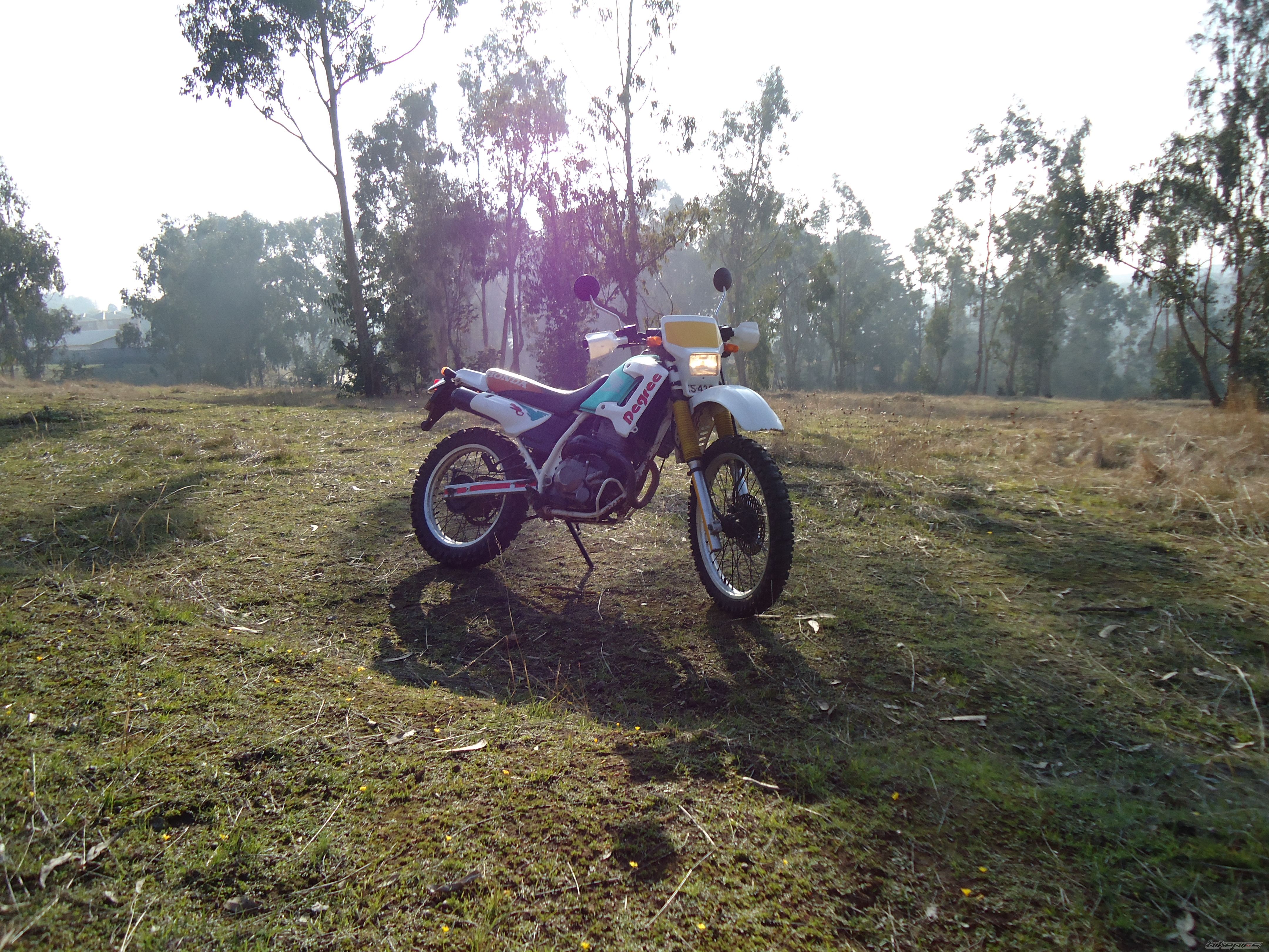 Photo 2236722