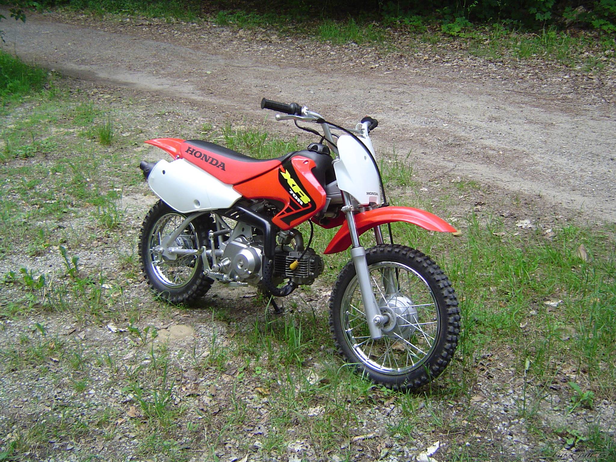 Photo 223690