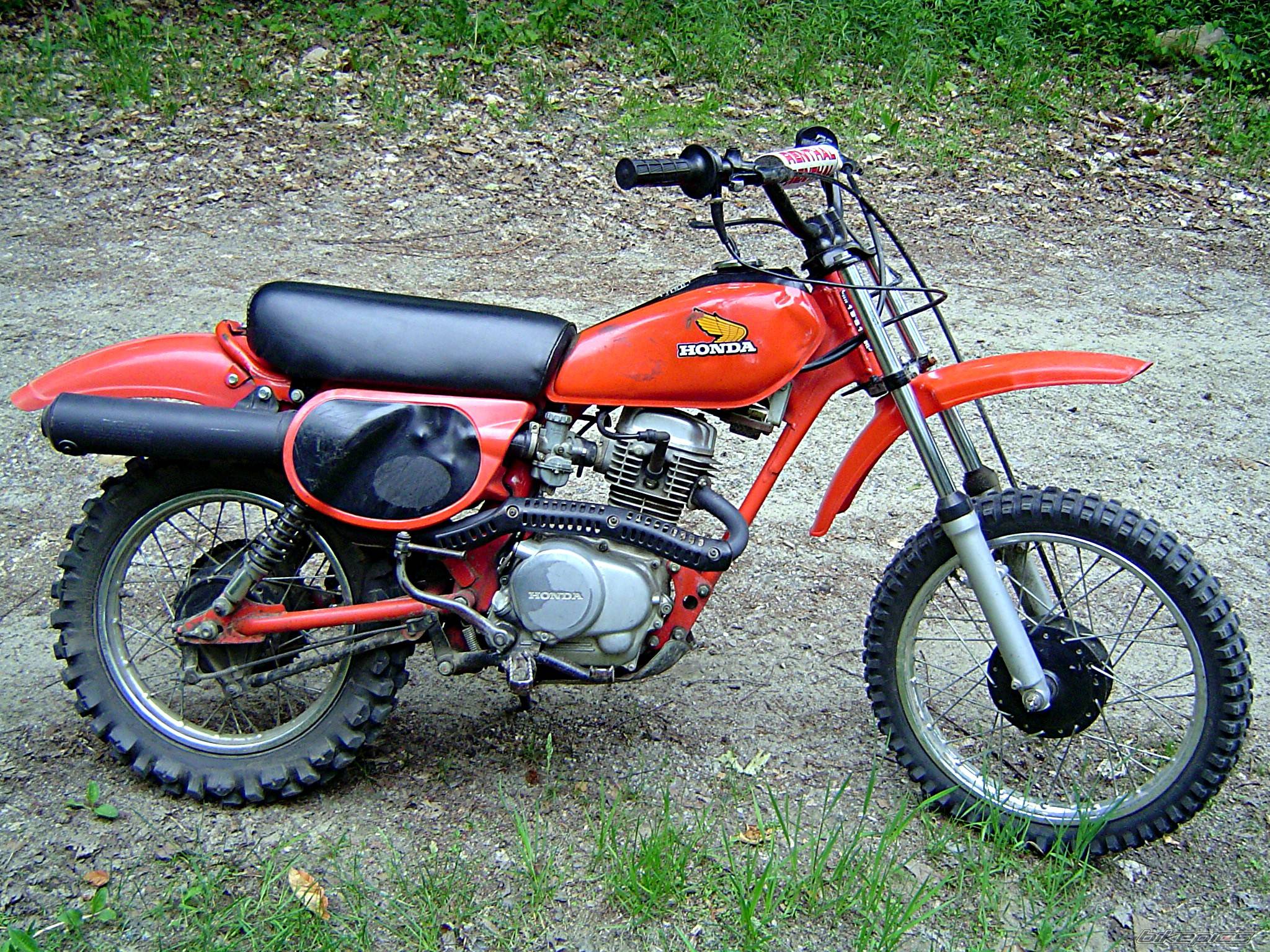 Photo 223694