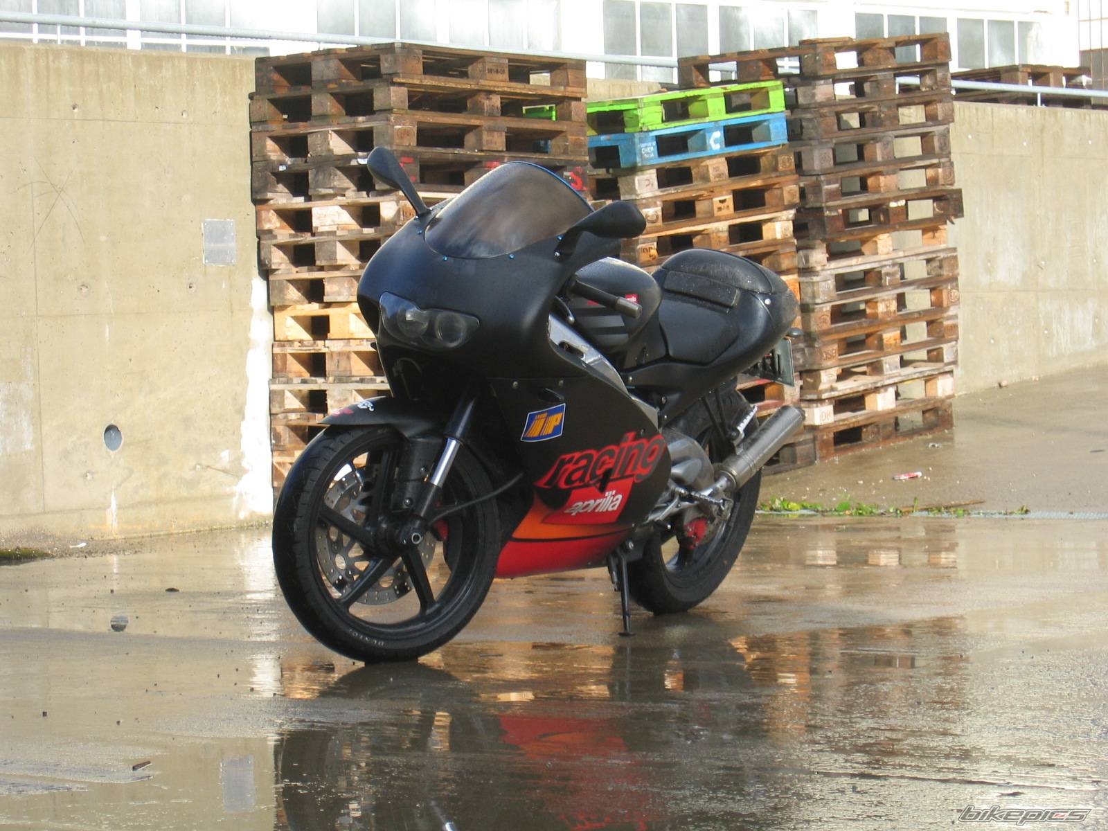 Photo 223697