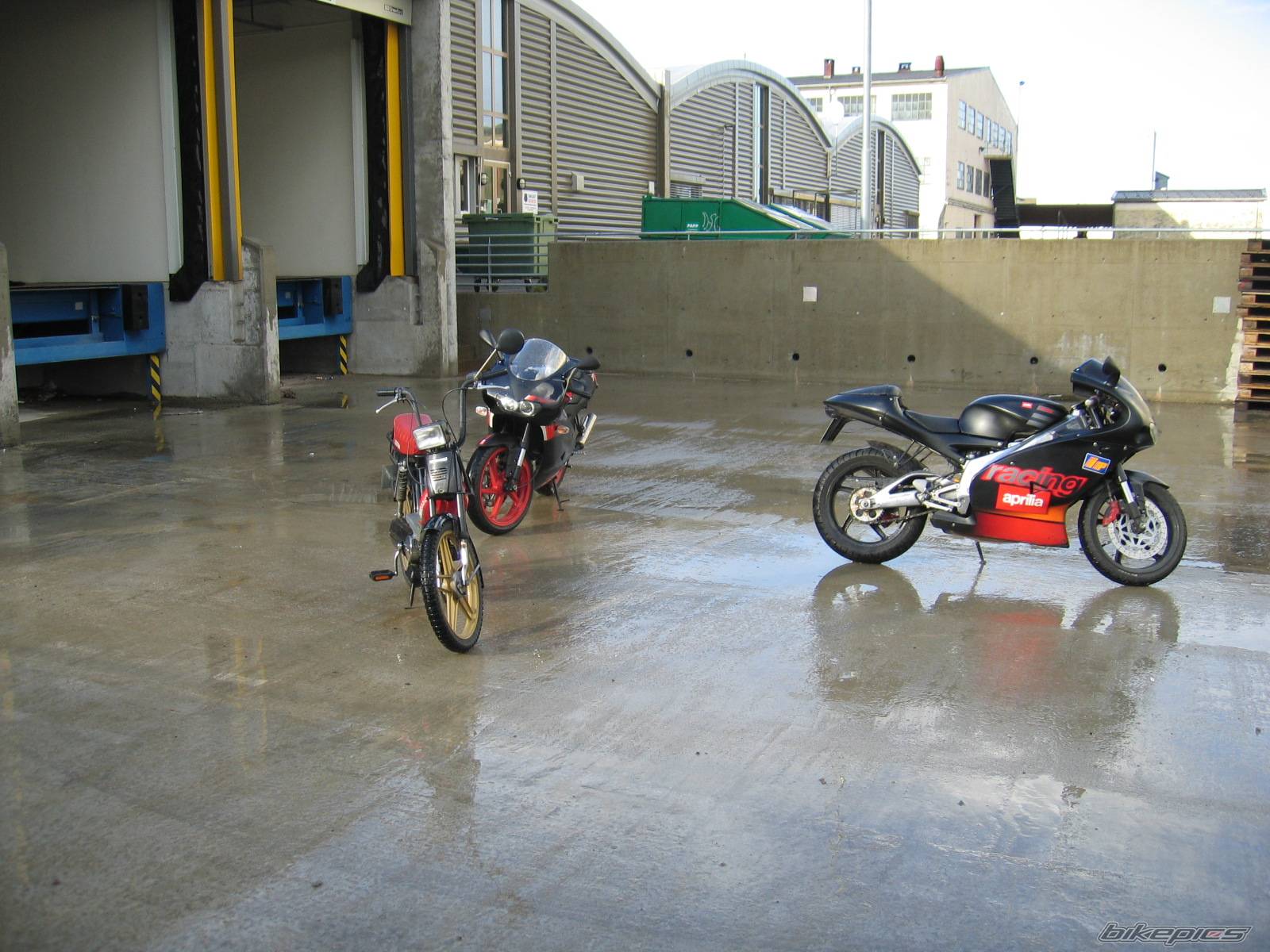 Photo 223698