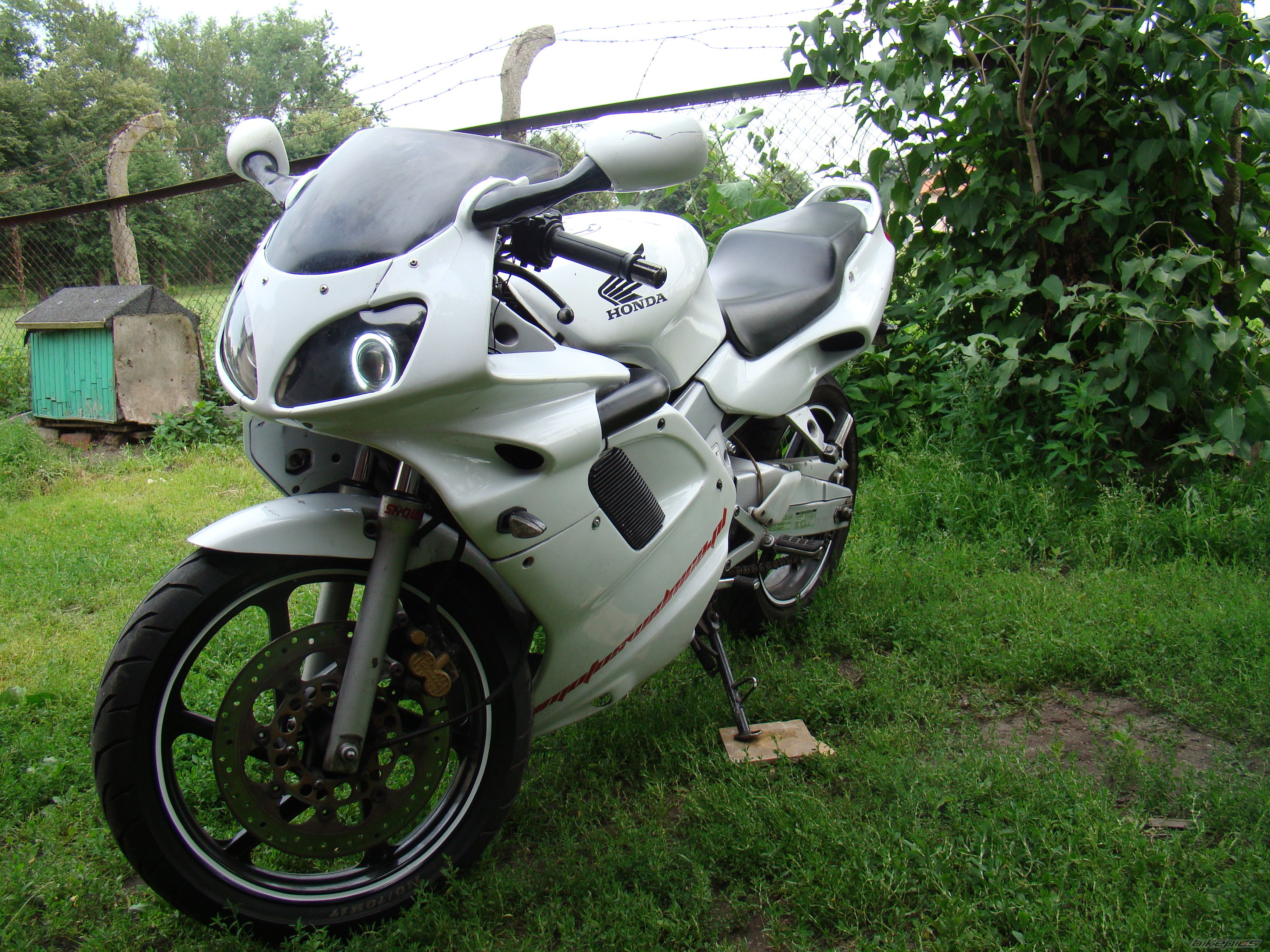 Photo 2237032