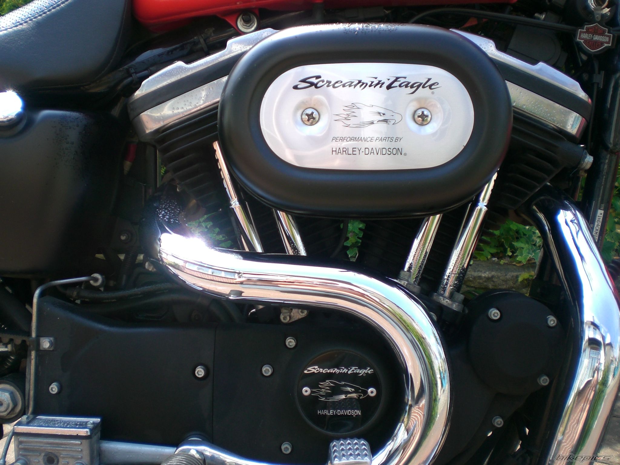 Photo 2237057