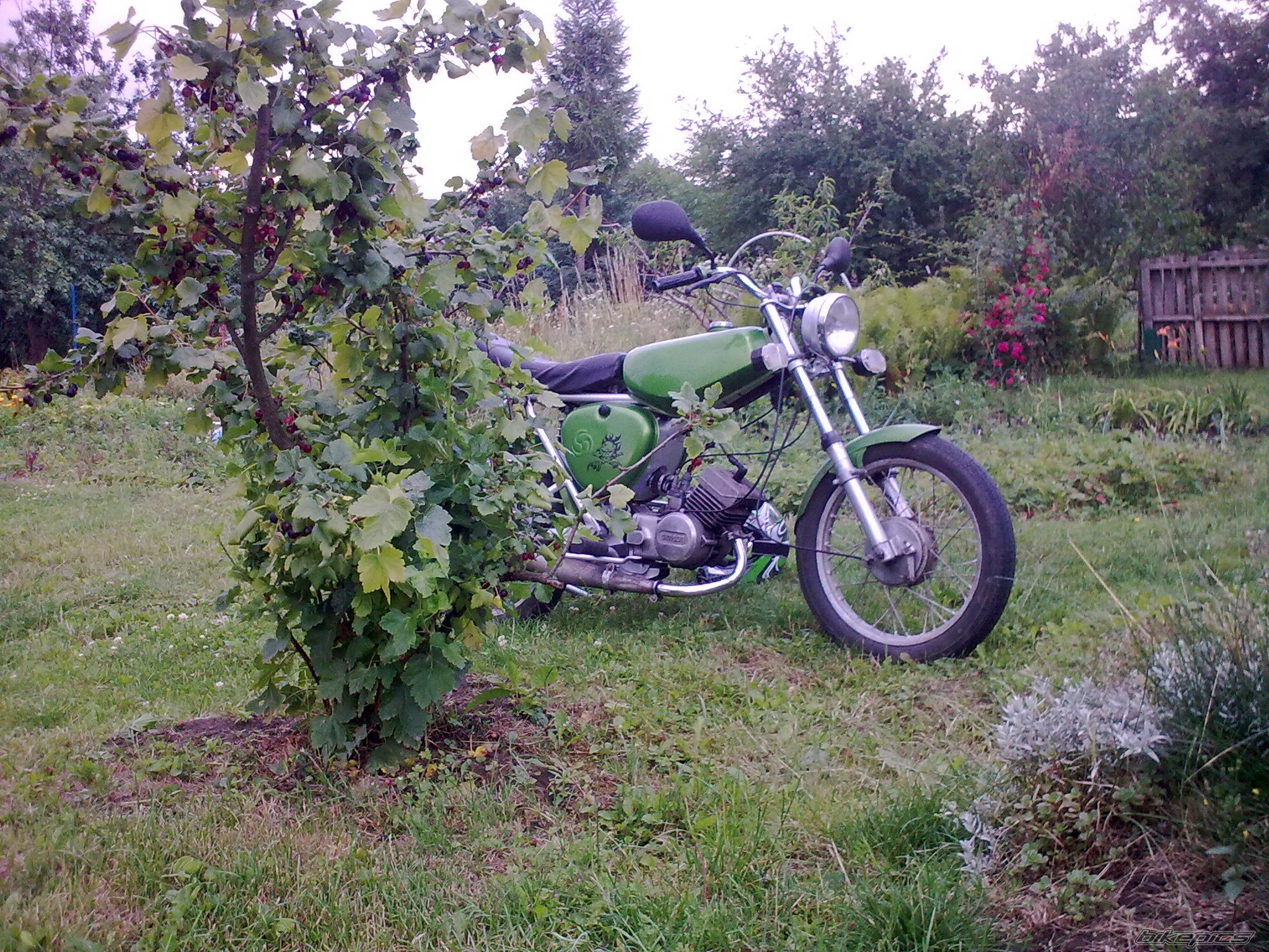 Photo 2237083